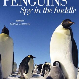 Penguin Spy in the Huddle - Penguins Spy In The Huddle DVD