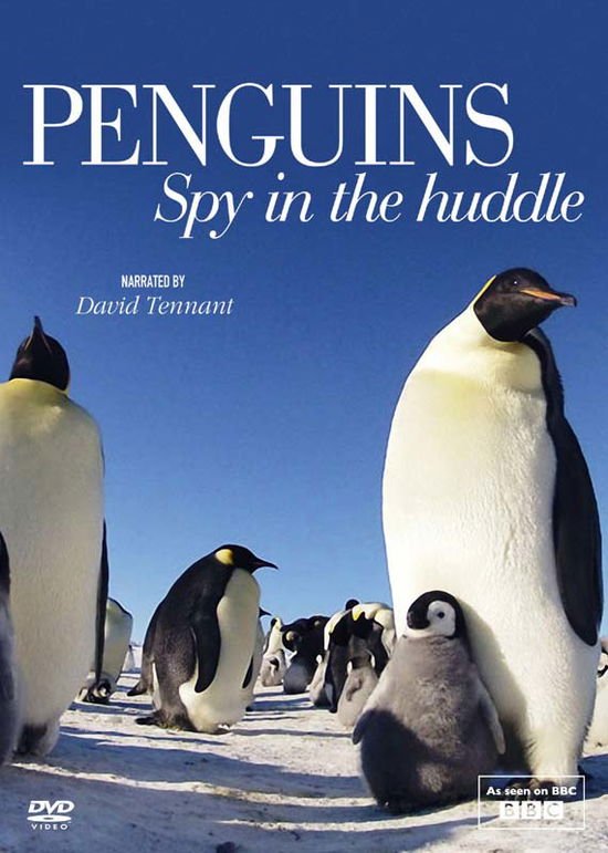 Penguin Spy in the Huddle - Penguins Spy In The Huddle DVD