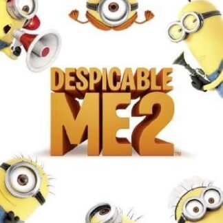 Despicable Me 2 DVD