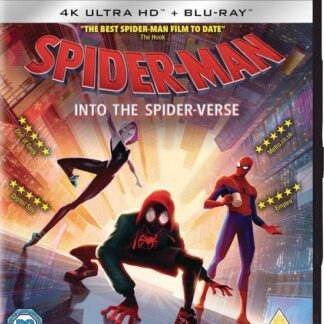 Spiderman into the Spiderverse 2 - Spider-Man: Into The Spider-Verse Blu-ray