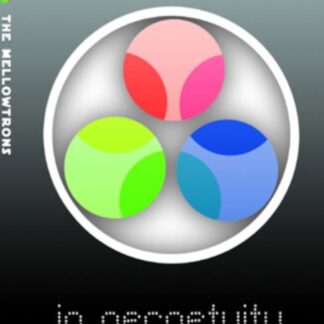 Mellowtrons - In Perpetuity DVD