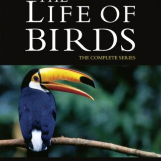 The Life of Birds Repack - David Attenborough: The Life Of Birds DVD