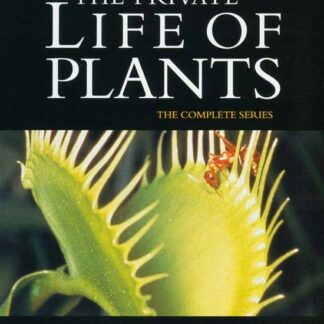 Private Life of Plants Repack - David Attenborough: The Private Life Of Plants DVD