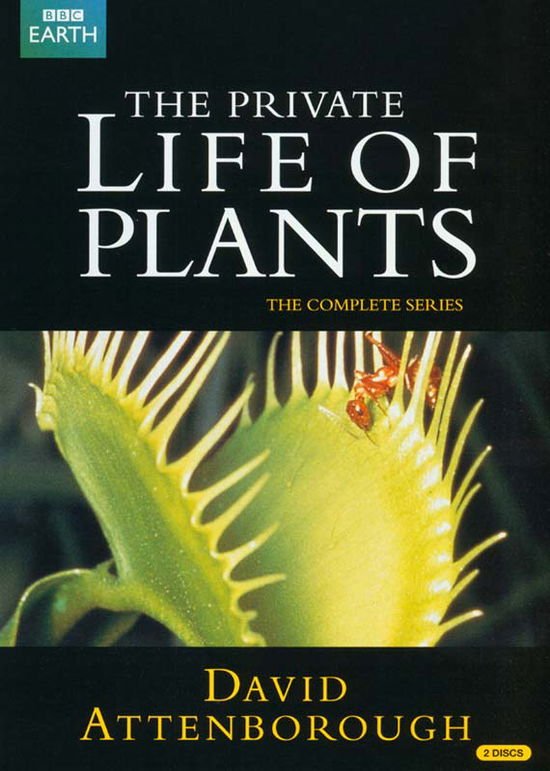 Private Life of Plants Repack - David Attenborough: The Private Life Of Plants DVD