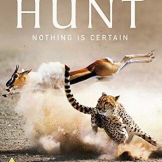 HUNT THE HUNT THE DVD