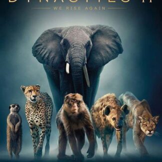 Dynasties II DVD