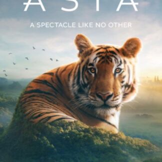 Asia DVD