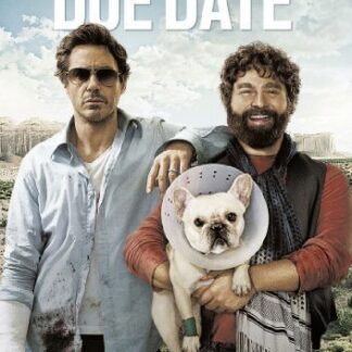 Due Date / Parto Col Folle [ed - Due Date DVD