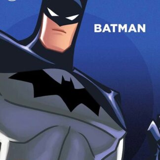 DC SUPER HEROES DVD