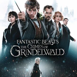 Fantastic Beasts - the Crimes - Fantastic Beasts: The Crimes Of Grindelwald Blu-ray