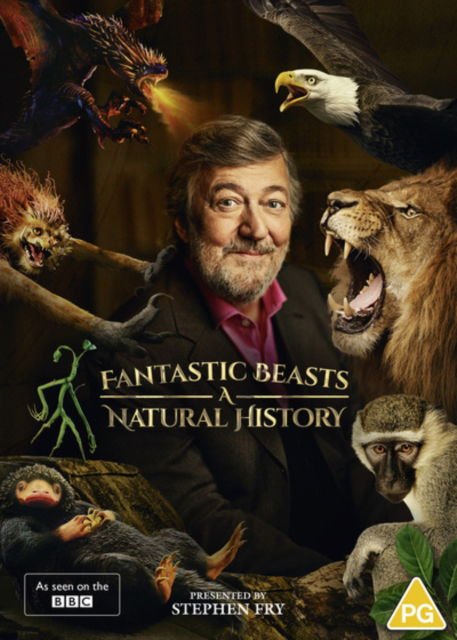 Fantastic Beasts - a Natural H - Fantastic Beasts: A Natural History DVD