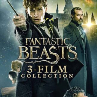 Fantastic Beasts 3film Collection D - Fantastic Beasts 3-Film Collection DVD