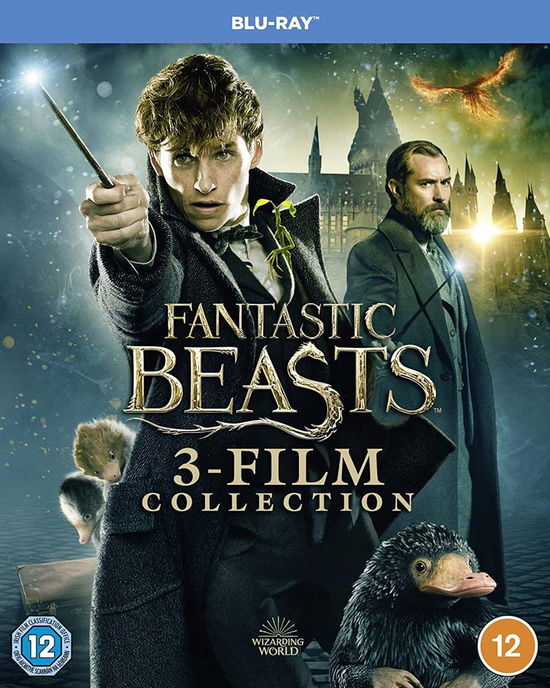 Fantastic Beasts - Fantastic Beasts Complete 3 Movie Collection Blu-ray