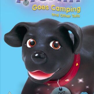 Merlin The Magical Puppy Merlin Goes Camping DVD