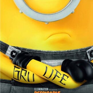 Despicable Me 3 - Despicable Me 3 DVD