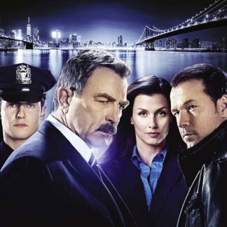 Blue Bloods: Season 7 Set DVD