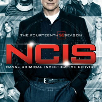 Navy Ncis Season 14 - Navy Ncis: Naval Criminal Investigative Service: Season 14 Set DVD