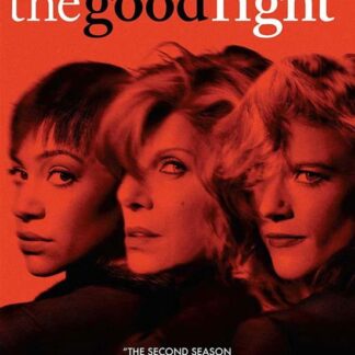 The Good Fight Season 2 - The Good Fight: Season 2 Set DVD