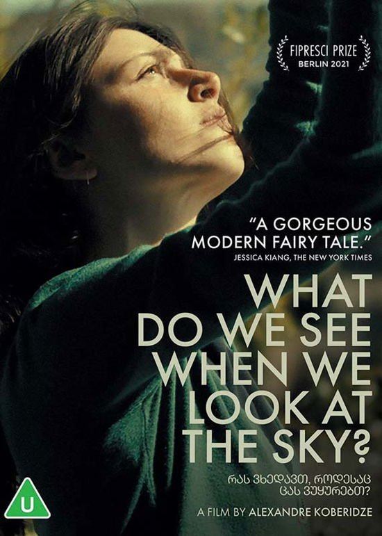 What Do We See when We Look at the S - What Do We See When We Look At The Sky? DVD