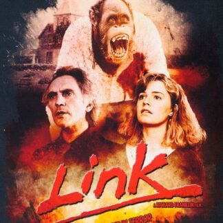 Link DVD