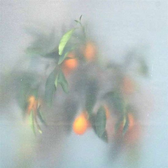U-Ziq & Mrs Jynx - Secret Garden 1CD