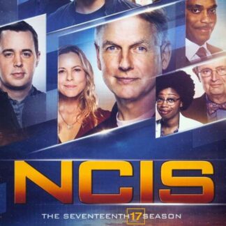 NCIS: Season 17 DVD