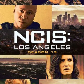 Ncis Los Angeles Season 13 DVD