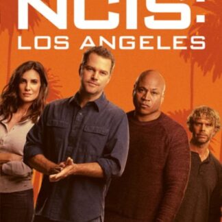 Ncis: Los Angeles: The Season 14 DVD