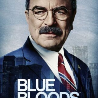 Blue Bloods the Final Season Season 14 - Blue Bloods: The Final Season DVD