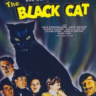 Fox - The Black Cat DVD