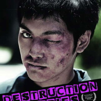 Destruction Babies DVD - Destruction Babies DVD
