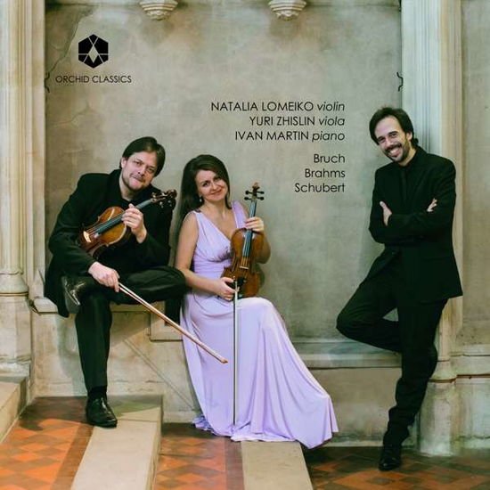 Yuri Zhislin - Brahms / Bruch / Schubert: Trios 1CD