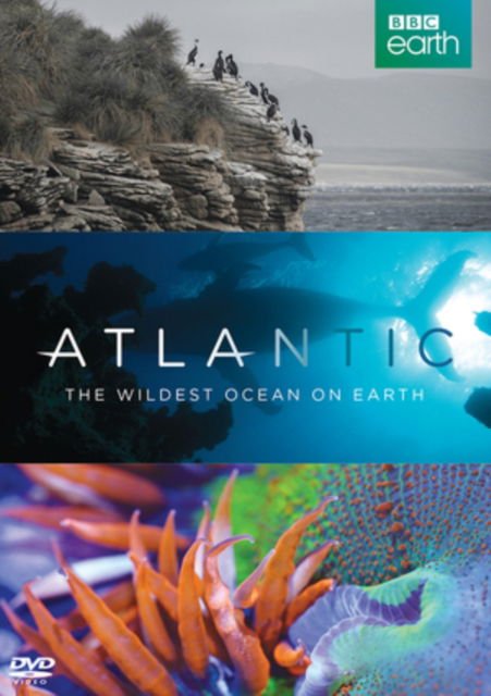 Atlanticwildest Ocean on Earth Bbc - Atlanticwildest Ocean On Earth Bbc DVD