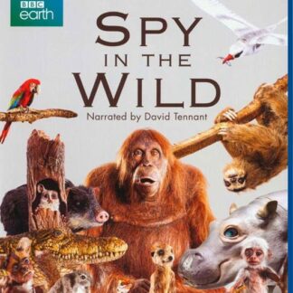 Spy In The Wild Blu-Ray Blu-ray