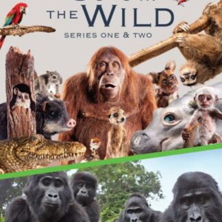 Spy in the Wild Series 12 DVD - Spy In The Wild: Series 1-2 DVD