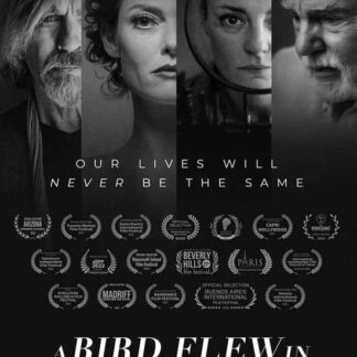 A Bird Flew In DVD