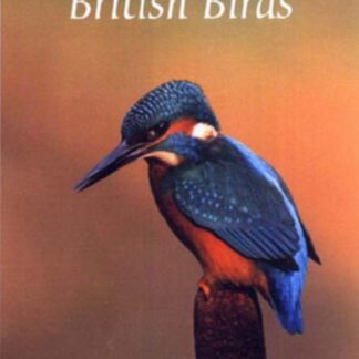 British Birds - British Birds 3 Dvd Set DVD