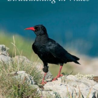 Birdwatching in Wales - Birdwatching In Wales DVD