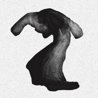 Yeasayer - Fragrant World 1CD