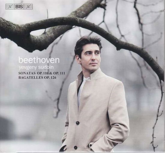 David Zinman - Piano Sonatas Op.110 & 111/six Bagatelles 1CD