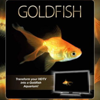 Plasma Art: Goldfish - Plasma Art Goldfish Blu-ray