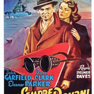 Ce Sempre Un Domani - Ce Sempre Un Domani DVD