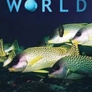 Underwater World Soul Waves - Underwater World Soul Waves DVD