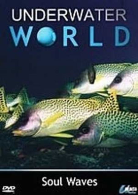 Underwater World Soul Waves - Underwater World Soul Waves DVD