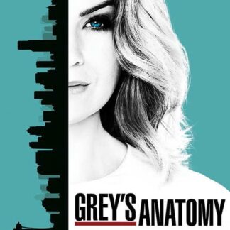 GreyS Anatomy Season 13 DVD