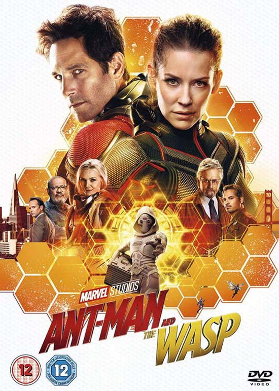 Ant-man and the Wasp - Ant-Man And The Wasp DVD
