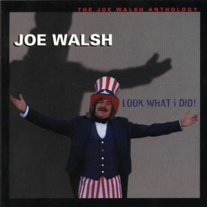 Joe Walsh - Look What I Did 2CD