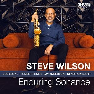 WILSON,STEVE - ENDURING SONANCE 1LP