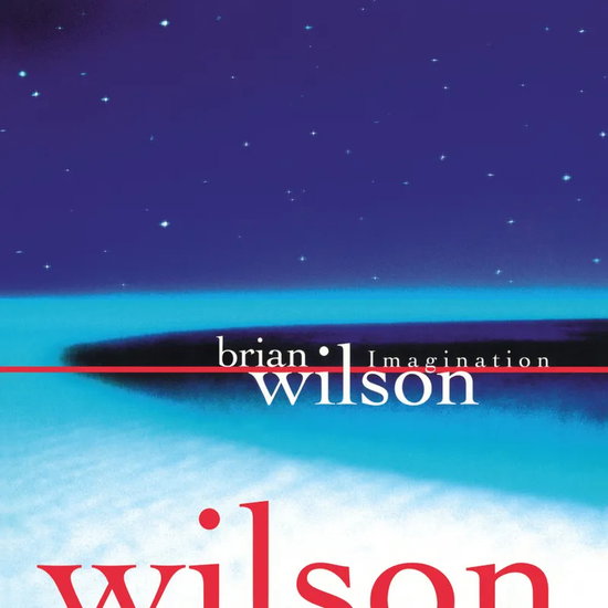 Wilson, Brian - Imagination 1LP