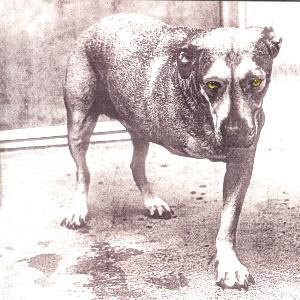 ALICE IN CHAINS - ALICE IN CHAINS 1CD